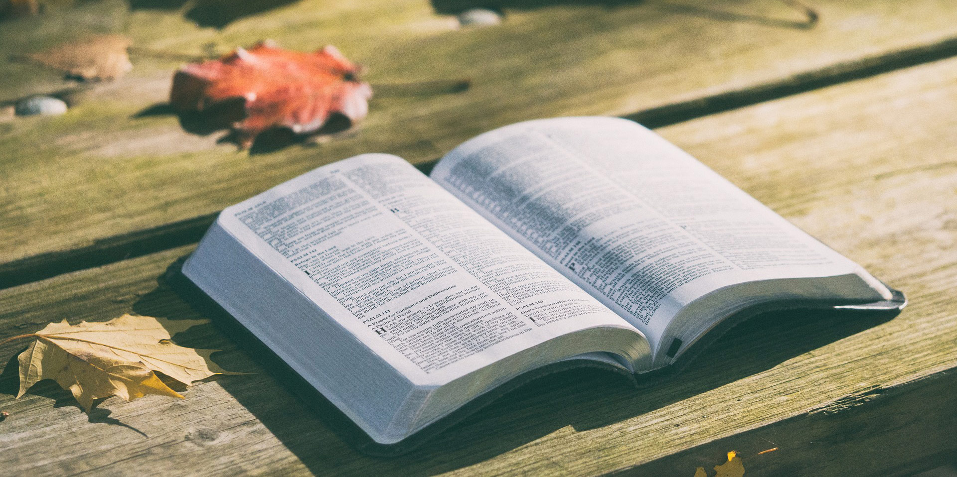Photo of Bible by Pexels via Pixabay.
